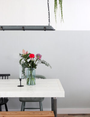 pendelleuchte-anne-light-&-home-tubalar-mattglas|schwarz-1571gr