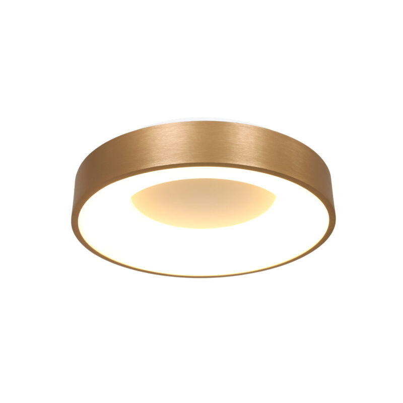 deckenleuchte-ring-steinhauer-ringlede-gold-2562go-10