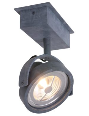 einstellbare-spotlampe-mexlite-lenox-grau-1450gr