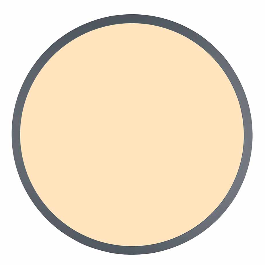 Metall graue ländliche Deckenlampe Globo Doro – Bild 2