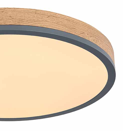 Metall graue ländliche Deckenlampe Globo Doro – Bild 3