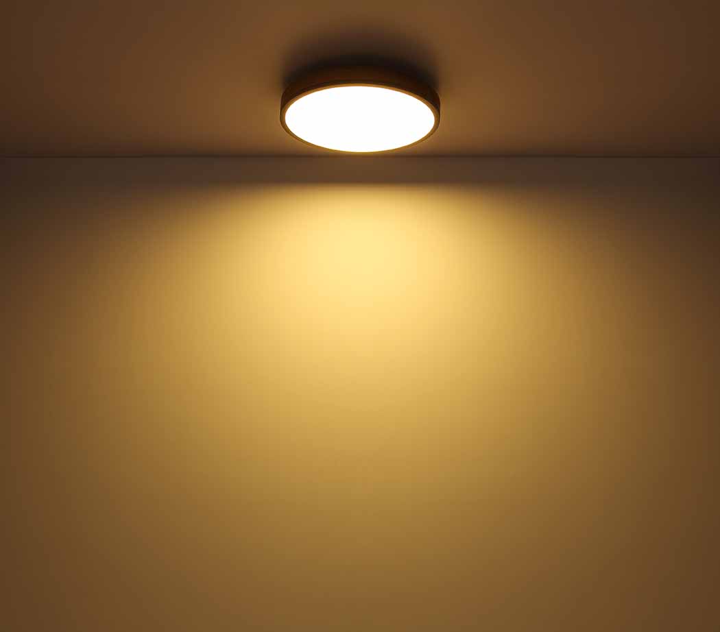 Metall graue ländliche Deckenlampe Globo Doro – Bild 4