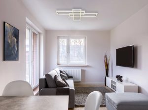 globo-deckenleuchte-salmos-silber-metall-led-67209-60d-1