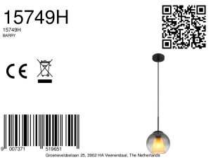 globo-hängeleuchte-barry-schwarz-glas-ø20cm-e27-15749h-8a