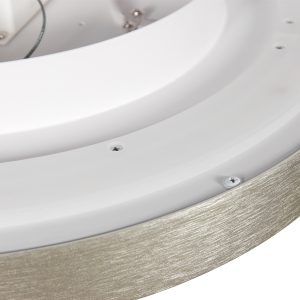 deckenlampeinstahloptikmitrundemled-modulsteinhauerflady-5