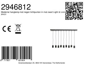 hängeleuchte9-flammigmattschwarzlight&livingbrady-8a