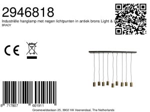 industriellependelleuchteantikbronzelight&livingbrady-8a